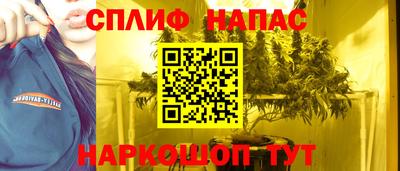 МДПВ Донецк