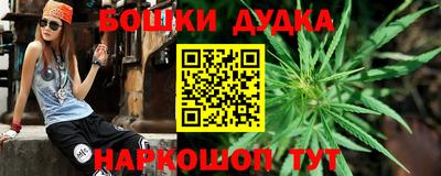 ешки Дубна