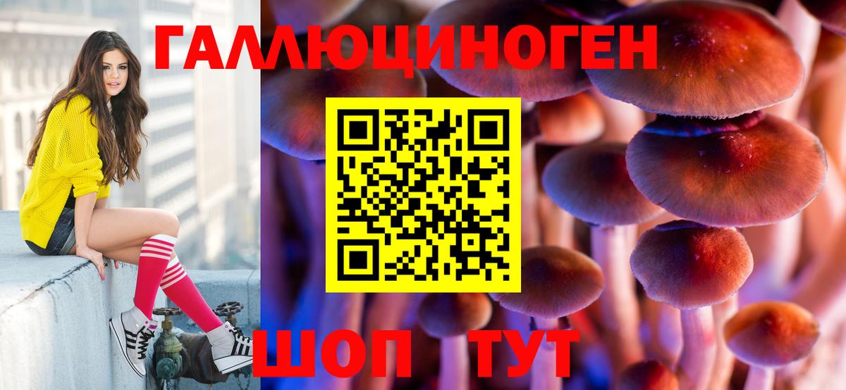 Пенза  закладка  Вход с VPN  Псилоцибиновые грибы прущие грибы 