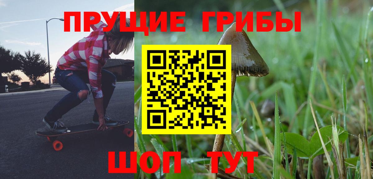 Галлюциногенные грибы Cubensis Пенза